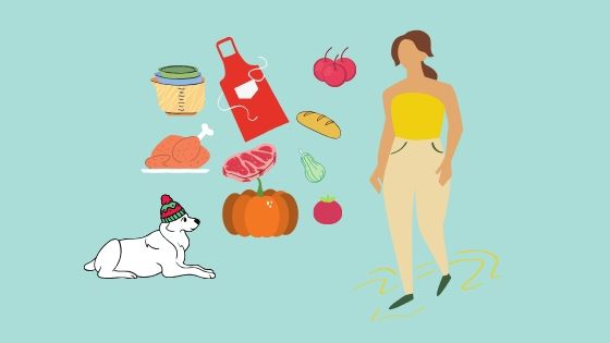 alimentação natural para cães